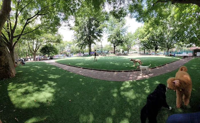 Seger Dog Park 4