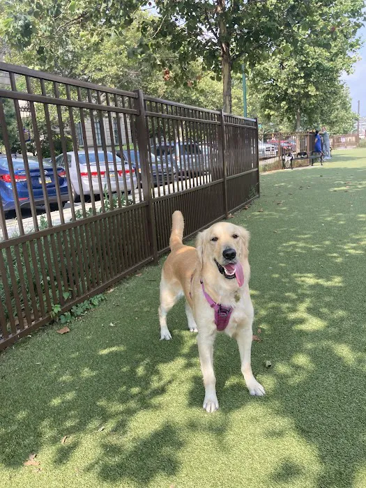 Rob Stuart Memorial Dog Park 7
