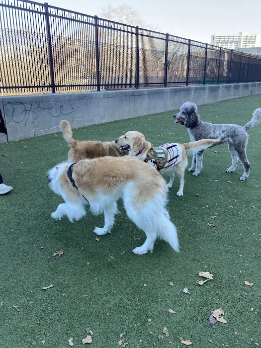 Rob Stuart Memorial Dog Park 6