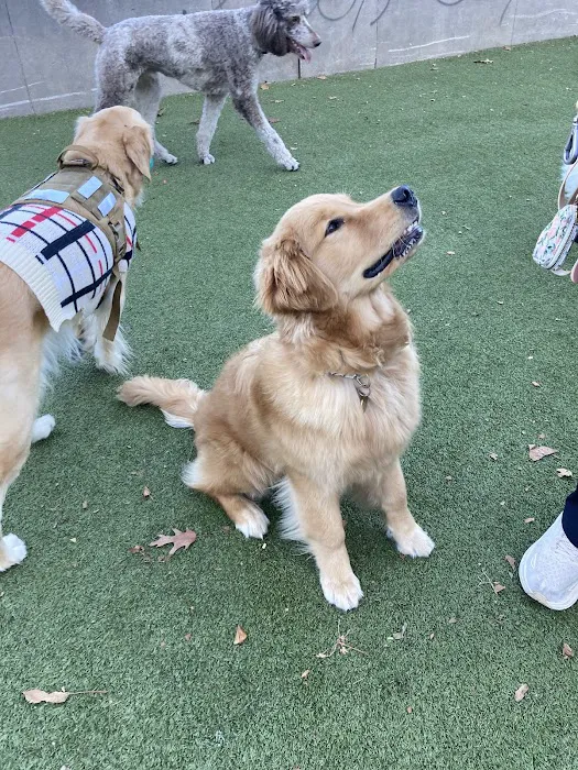 Rob Stuart Memorial Dog Park 10