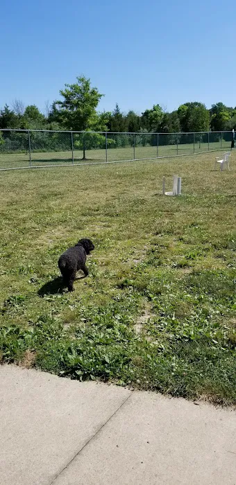 Cuddy Dog Park 2