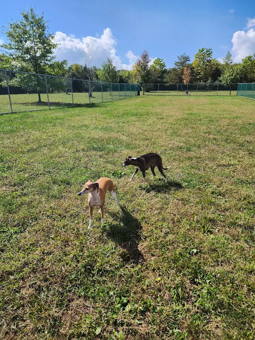 Cuddy Dog Park 1