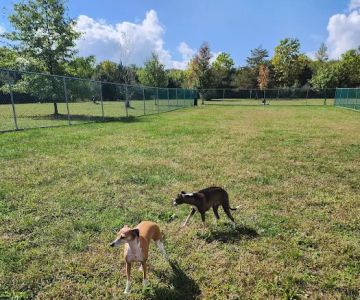 Cuddy Dog Park