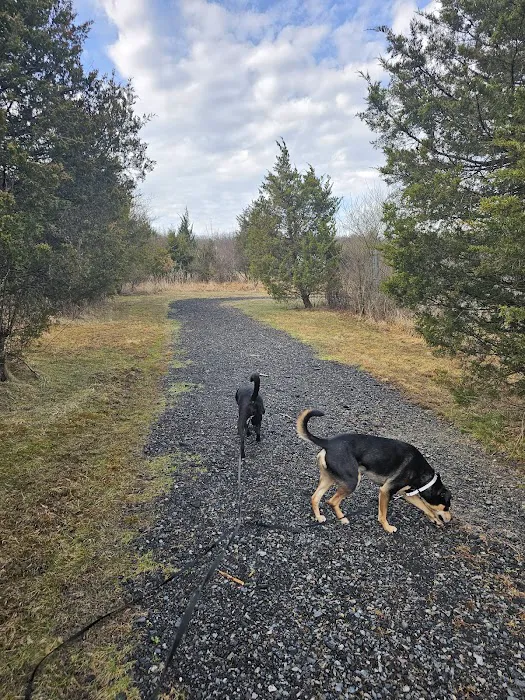 Cuddy Dog Park 7