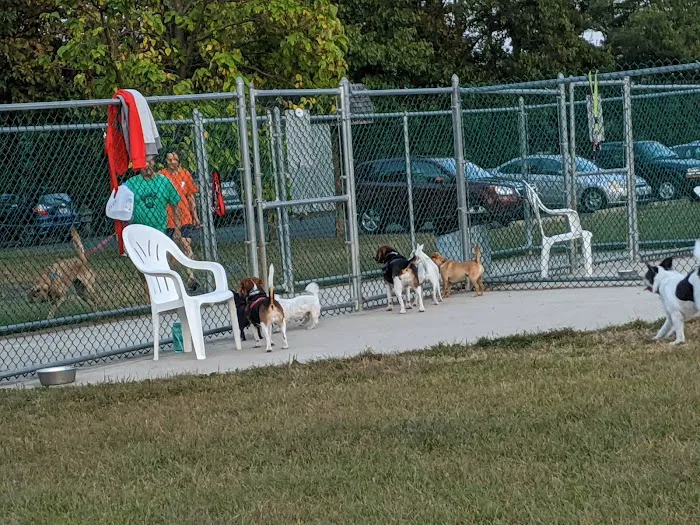 Cuddy Dog Park 6
