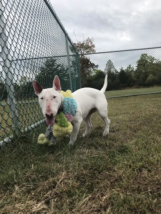 Cuddy Dog Park 5