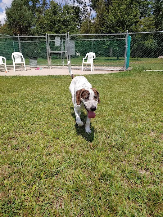 Cuddy Dog Park 9