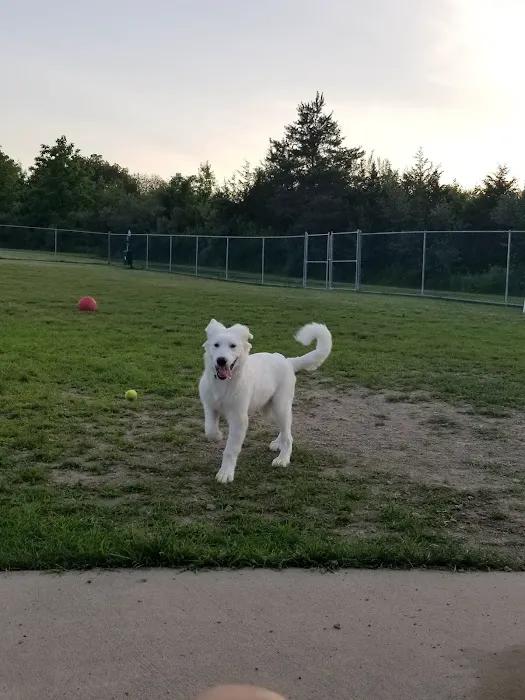 Cuddy Dog Park 8