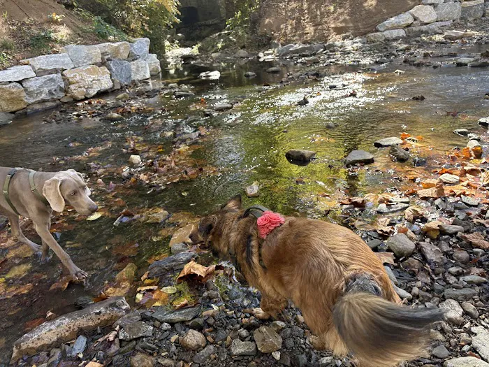 West Mill Creek Park 7
