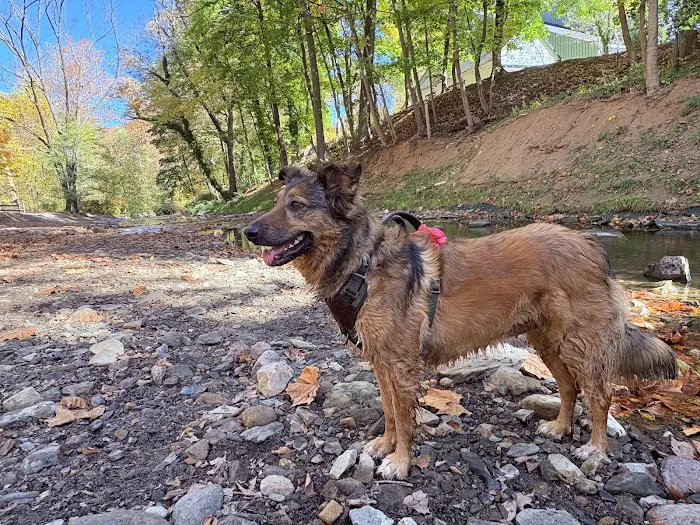 West Mill Creek Park 6