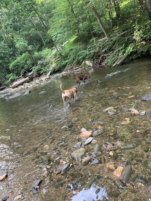 West Mill Creek Park 4