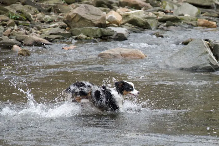West Mill Creek Park 2