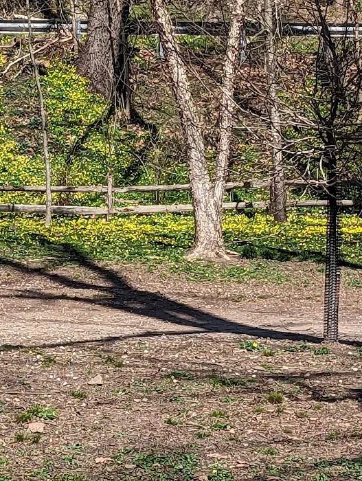 West Mill Creek Park 8