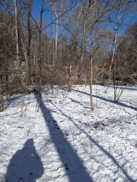 West Mill Creek Park 3