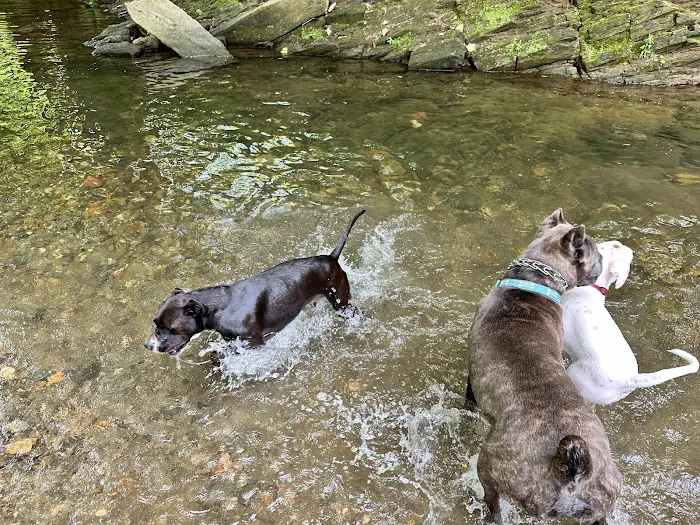 West Mill Creek Park 9