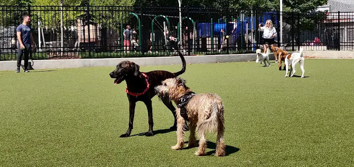 Columbus Square Dog Park 9