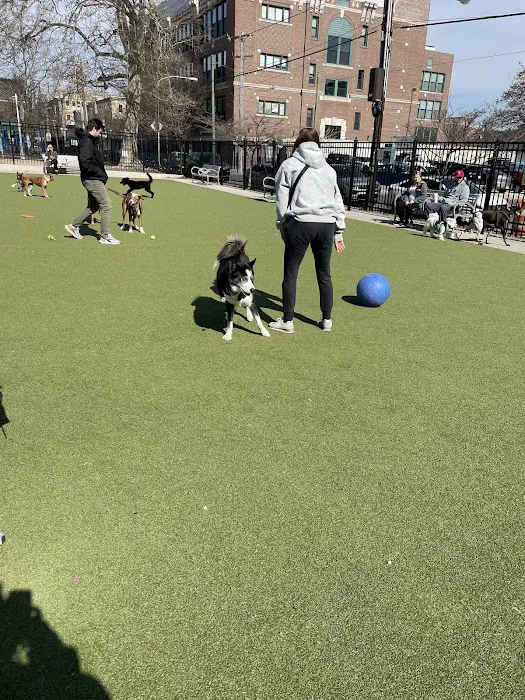 Columbus Square Dog Park 10