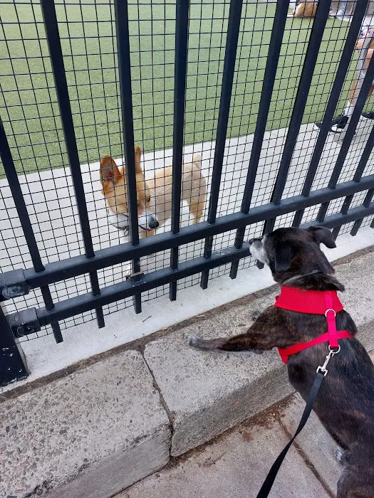 Columbus Square Dog Park 7
