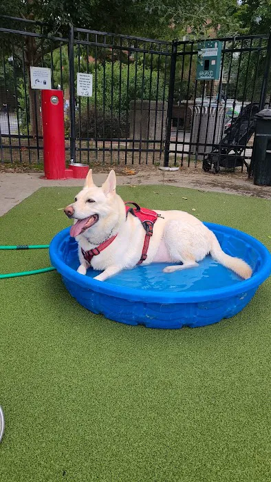 Columbus Square Dog Park 5