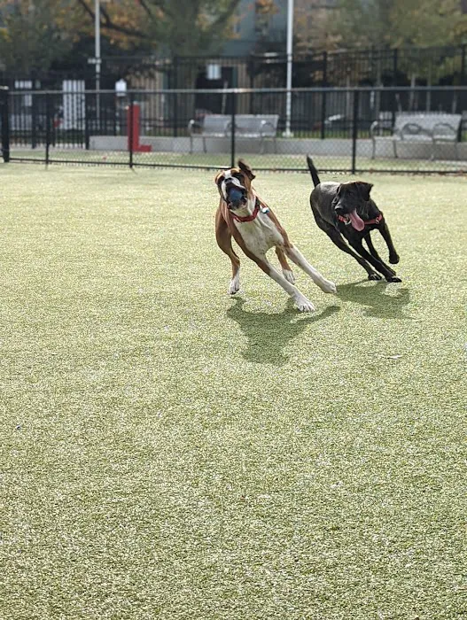 Columbus Square Dog Park 3