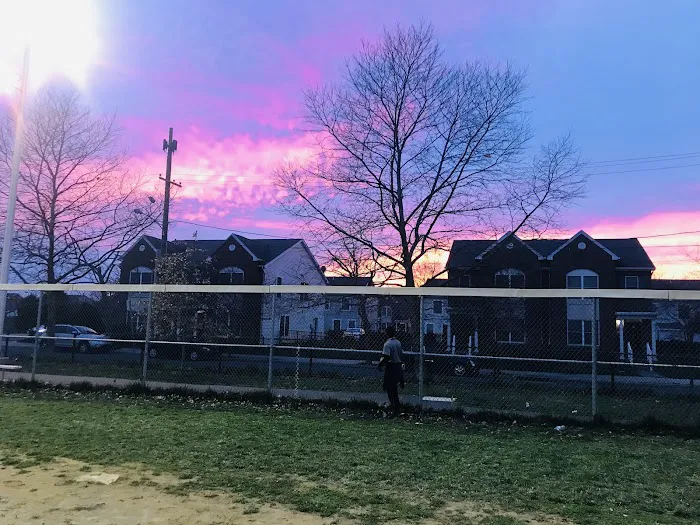 Lanier Dog Park 8