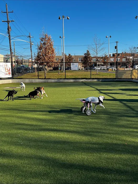 Lanier Dog Park 9