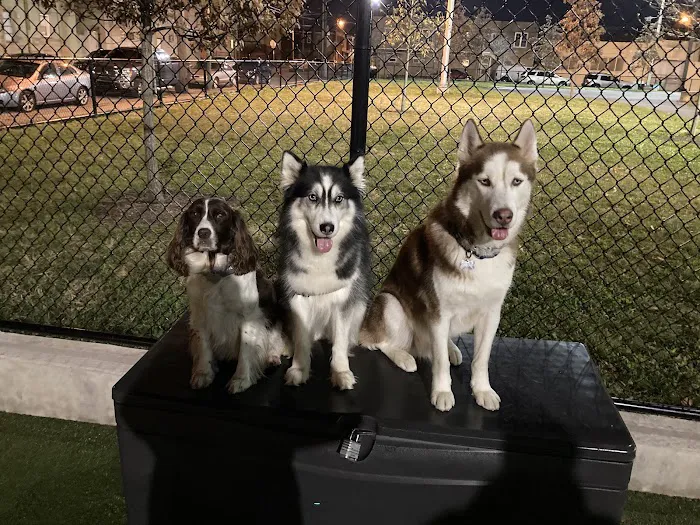 Lanier Dog Park 6