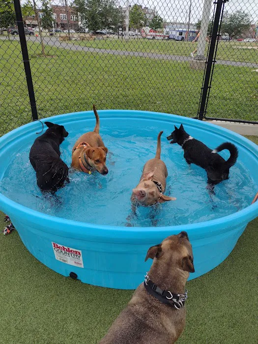 Lanier Dog Park 1