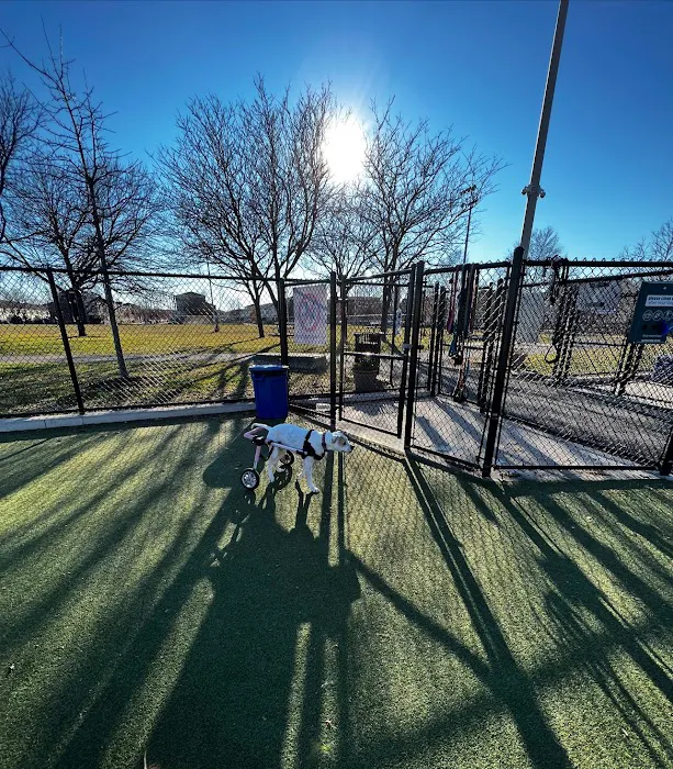 Lanier Dog Park 5