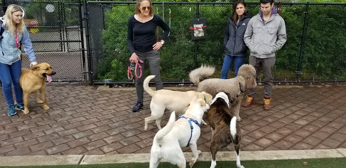 Big Dog Run 1