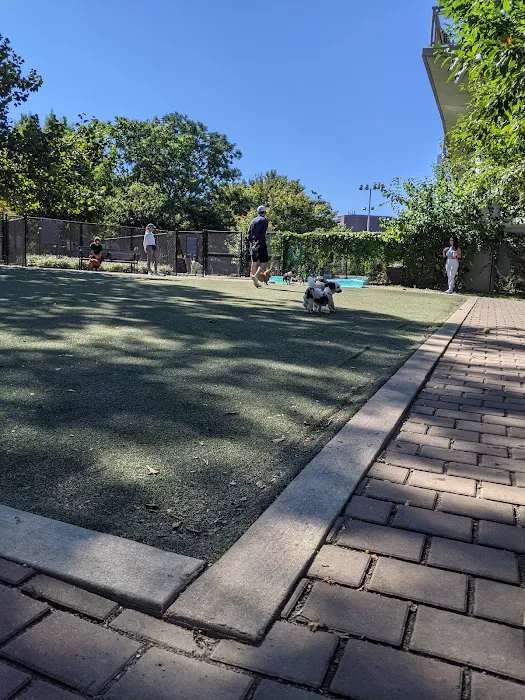 Big Dog Run 2