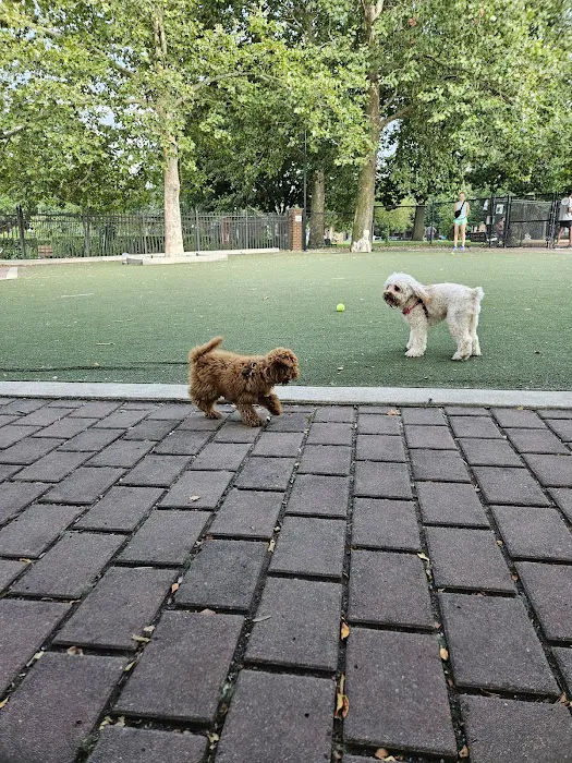 Big Dog Run 7