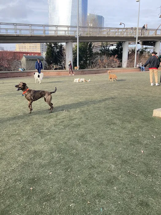 Little Dog Run 5