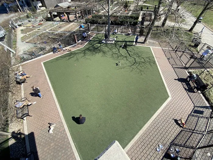 Little Dog Run 9