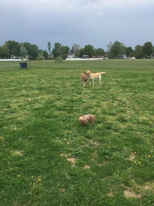 Memorial Park 8