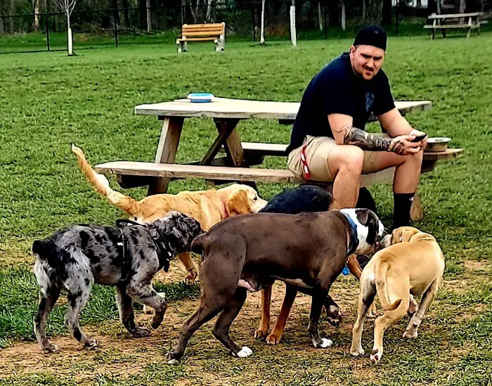 Speelhoffer Dog Park 6