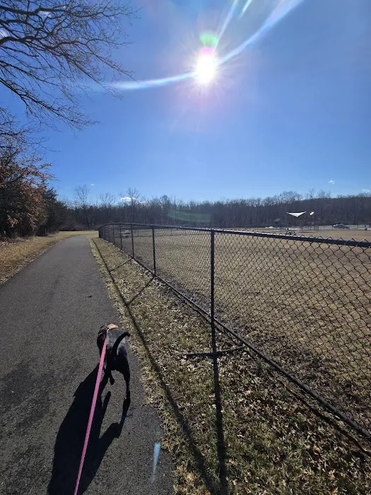 Speelhoffer Dog Park 1