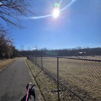 Speelhoffer Dog Park ico
