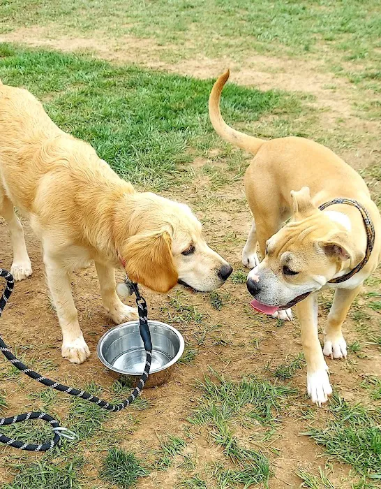 Speelhoffer Dog Park 9