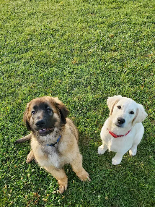 Speelhoffer Dog Park 7