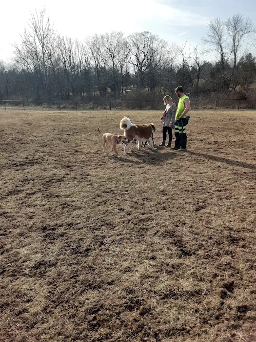 Speelhoffer Dog Park 8