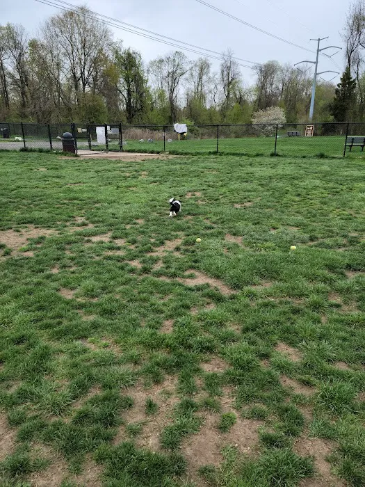 Longford Park/Reynolds' Dog Park 5