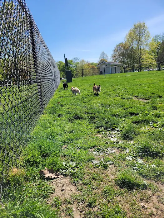 Longford Park/Reynolds' Dog Park 8