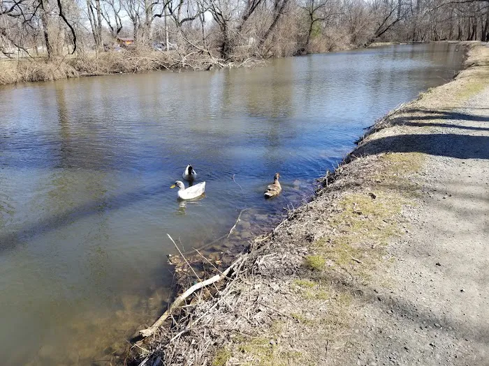 Longford Park/Reynolds' Dog Park 3