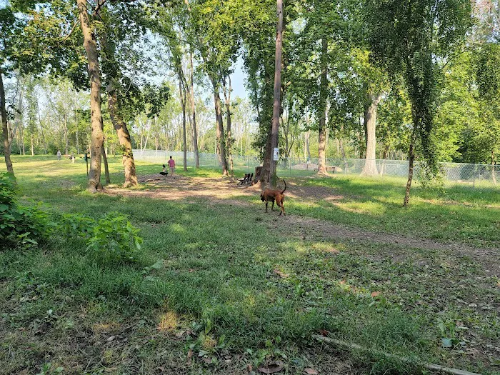 Reservoir Dog Park 5