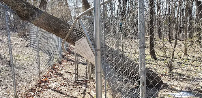 Reservoir Dog Park 4