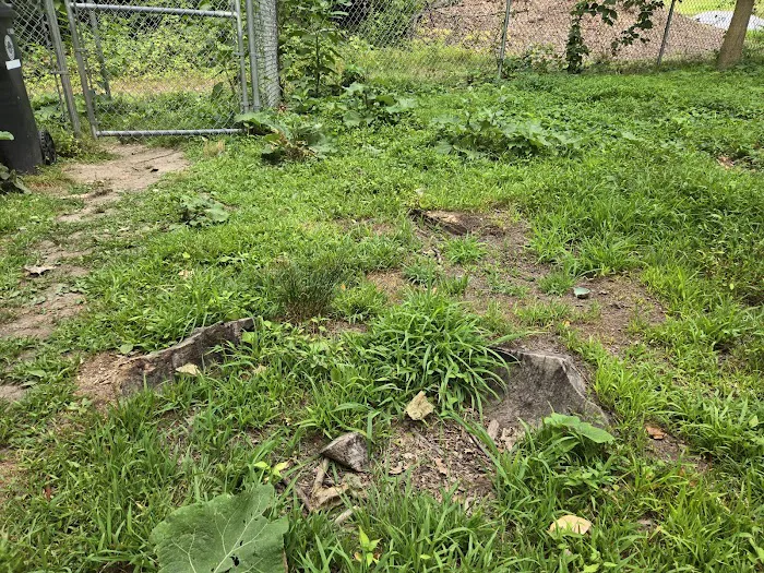 Reservoir Dog Park 9