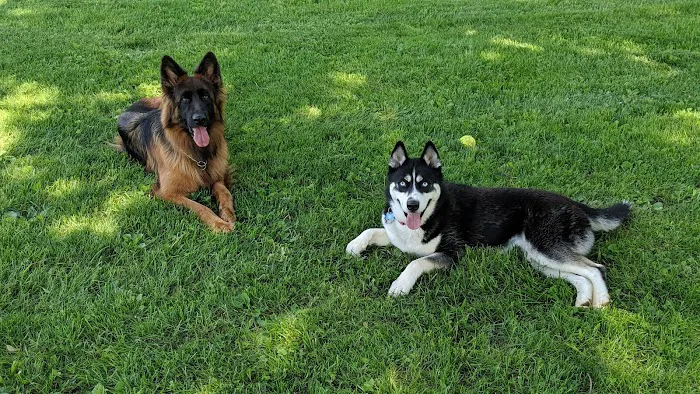 Lower Macungie Dog Park 5