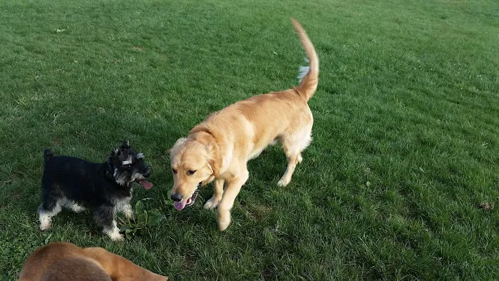 Lower Macungie Dog Park 7