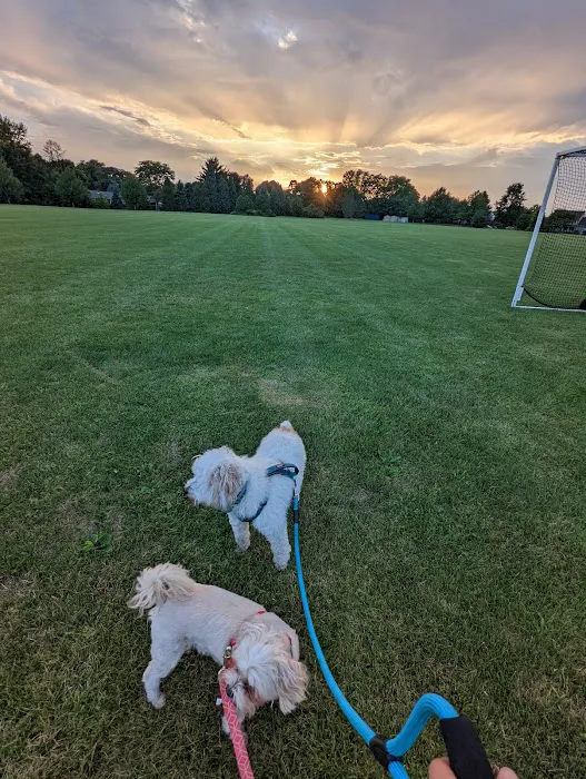 Lower Macungie Dog Park 2
